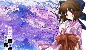 在虐恋盛开的地方的内容简介