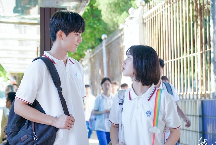 张凌赫演的电视剧有哪些