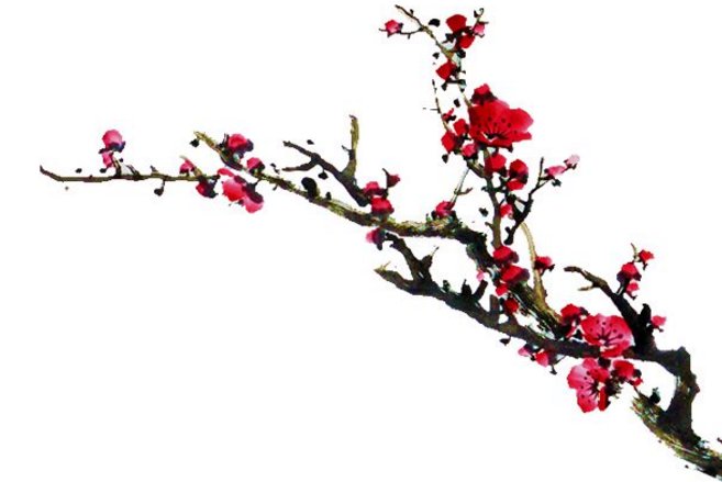 腊梅的特点是什么？