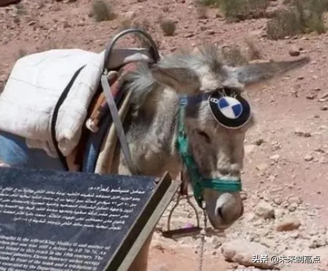 今年一季度国内生产总值同比下降6.8%，国内房价会跌吗？