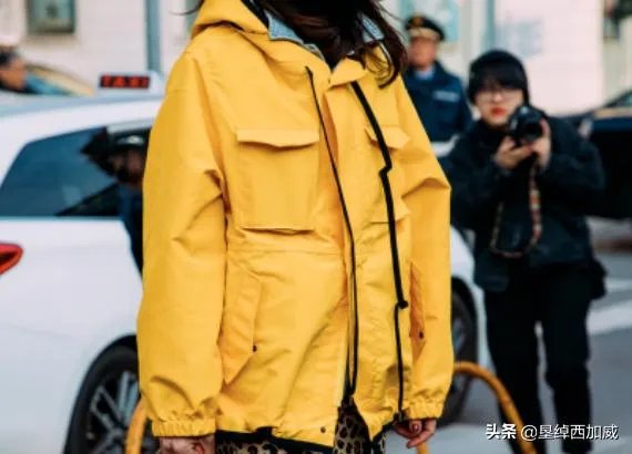 豹纹裙子怎么搭配上衣?