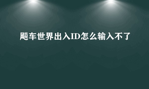 飚车世界出入ID怎么输入不了