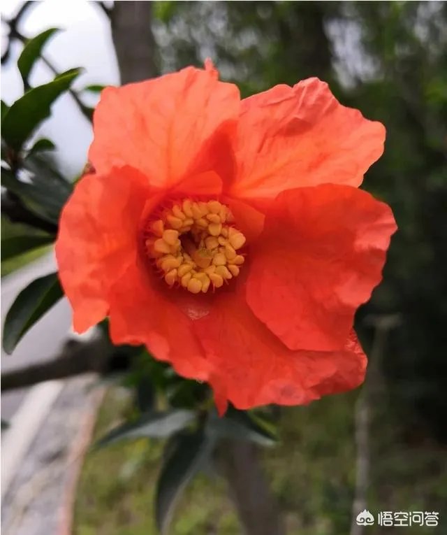 范冰冰和李晨分手了，你怎么看？