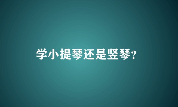 学小提琴还是竖琴？