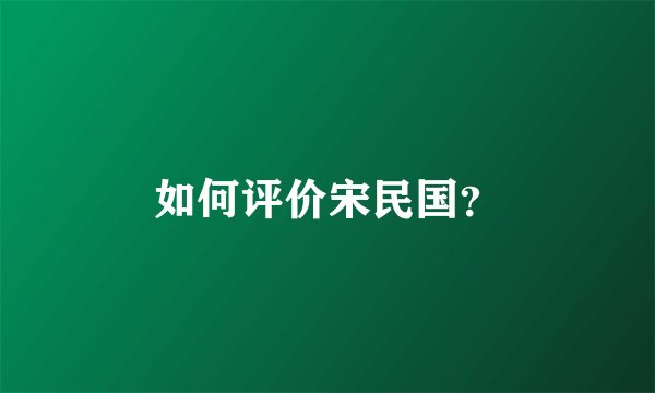 如何评价宋民国？