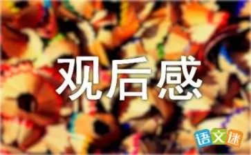 《驯龙记》观后感