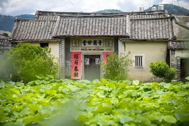 美丽的梅州县城大埔有哪些值得一看的旅游景点？