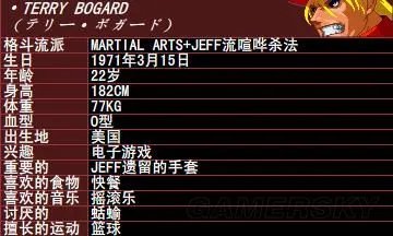 《饿狼传说》系列角色背景资料