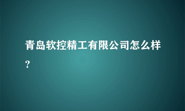青岛软控精工有限公司怎么样？