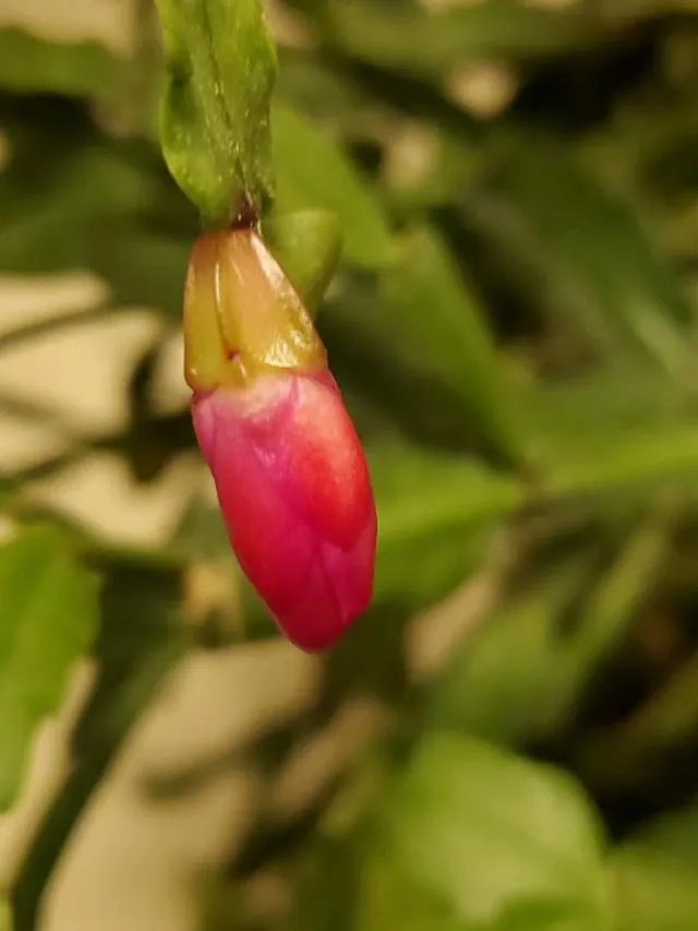 快2020年了，第一批即将奔三的90后，现在到底是什么状态？