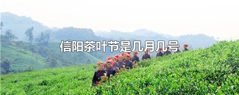 信阳茶叶节是几月几号