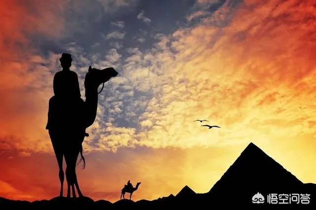 高进创作的歌曲大全