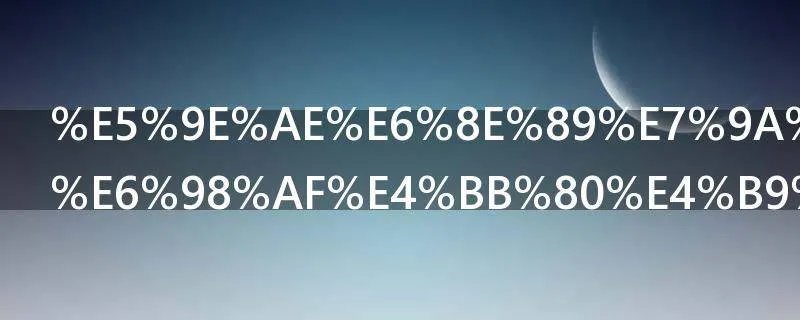 垮掉的一代是什么意思