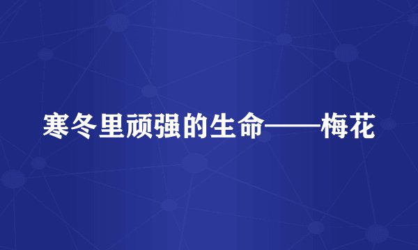 寒冬里顽强的生命——梅花