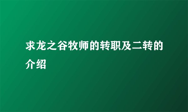 求龙之谷牧师的转职及二转的介绍