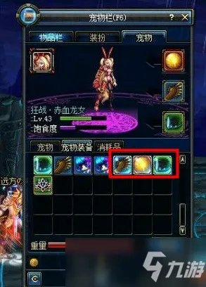 《dnf》宠物装备怎么得 宠物装备获取攻略