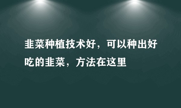 韭菜种植技术好,可以种出好吃的韭菜,方法在这里
