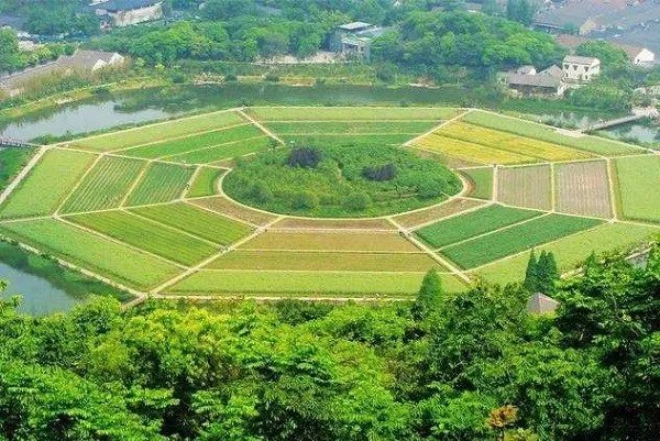 算命大V团伙落网,他们是一个什么样的团伙？