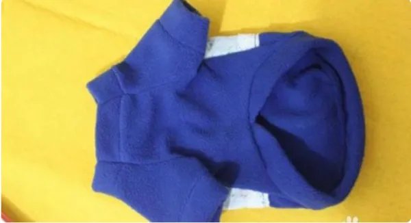 狗狗的衣服图片大全图片