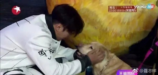 罗志祥本身的性格是怎样的？在极限挑战中是本色出演还是卖蠢萌人设？