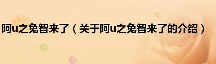 阿u之兔智来了（关于阿u之兔智来了的介绍）