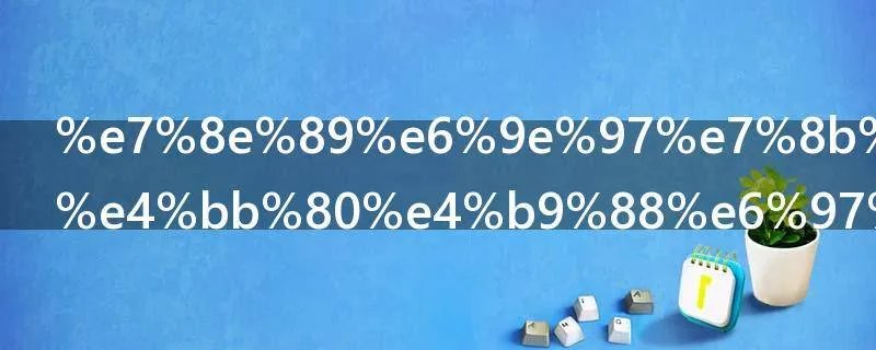 玉林狗肉节什么时间