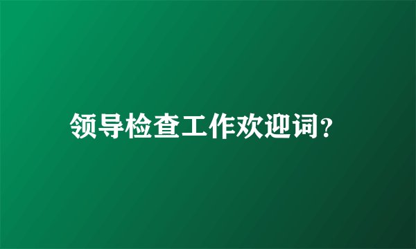 领导检查工作欢迎词？