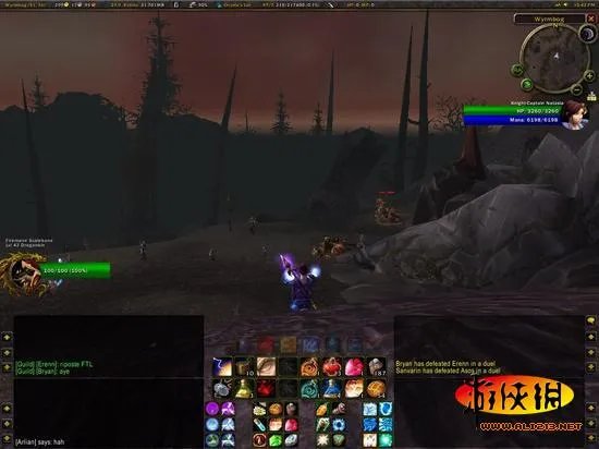 国外玩家UI界面进化史：见证魔兽世界九年变迁