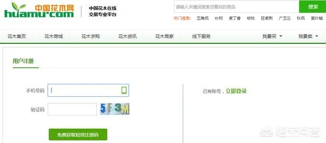 怎么在网上买到真苗木