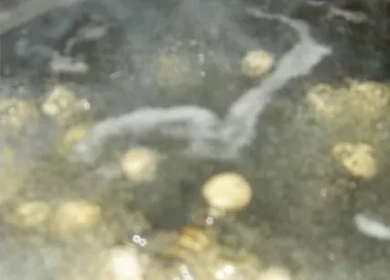 银耳莲子汤怎么做