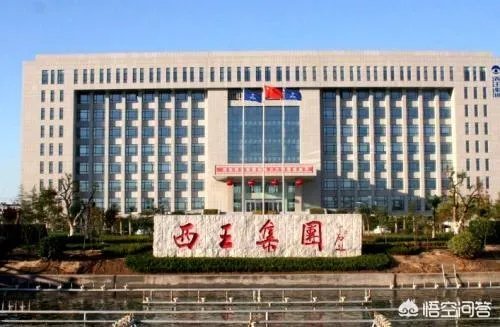 山东的西王村，到底有多富？