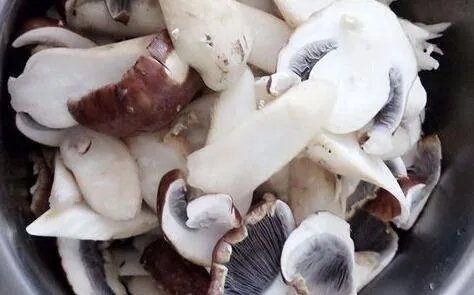 松茸的吃法有几种