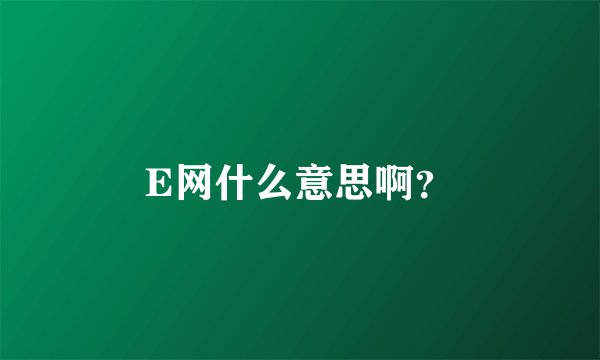 E网什么意思啊？