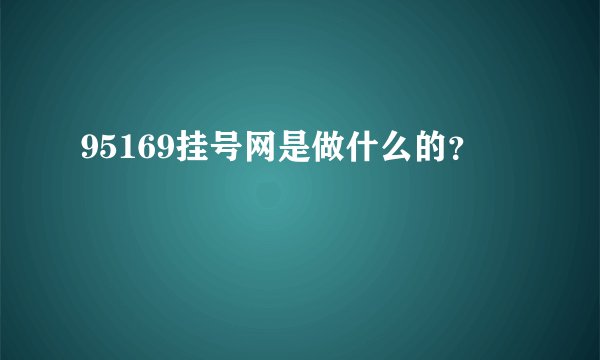 95169挂号网是做什么的？