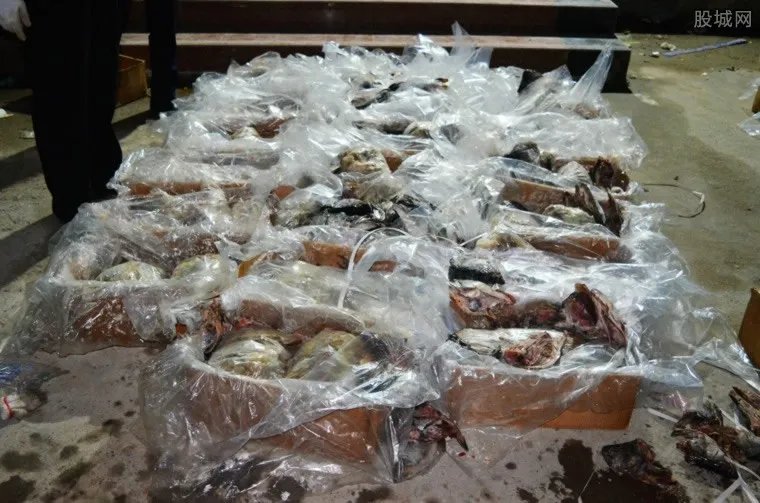 湖南破获穿山甲案 涉案金额高达1800多万元