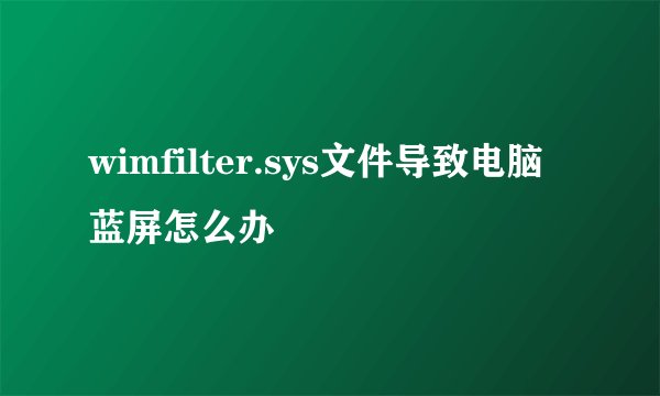 wimfilter.sys文件导致电脑蓝屏怎么办