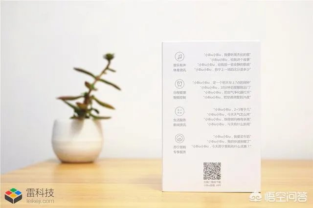 如何看待苏宁发布首款智能音箱小Biu音箱?