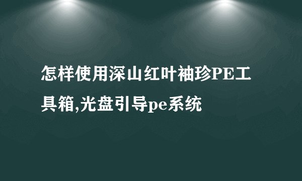 怎样使用深山红叶袖珍PE工具箱,光盘引导pe系统