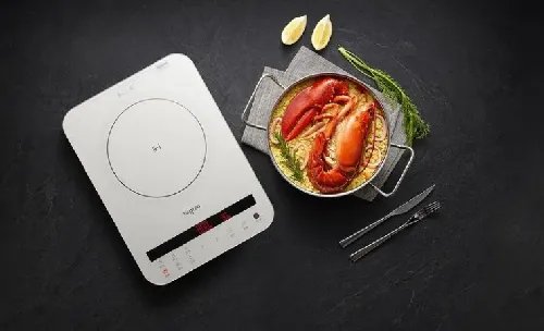 电磁炉十大公认品牌排行榜有哪些