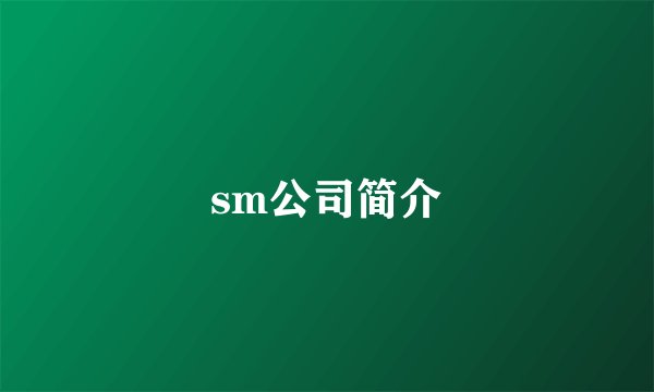 sm公司简介