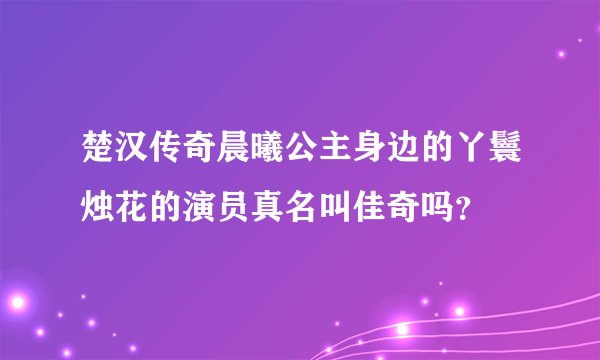 楚汉传奇晨曦公主身边的丫鬟烛花的演员真名叫佳奇吗？