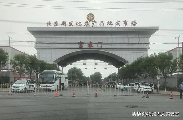 三文鱼案板检测出新冠病毒，已经过去多天，为何天猫还在卖三文鱼？