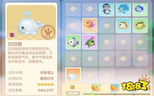 摩尔庄园手游白鲸几点钓？白鲸出没时间介绍[多图]