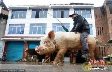 藏品在家不拿出去能私下交易吗?怎样才能把藏品卖出去？