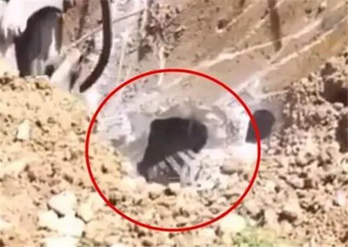 工人拆化粪池突发险情!地底钻出怪物（图）