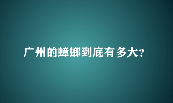 广州的蟑螂到底有多大？
