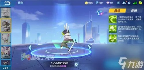 qq飞车手游车队宠物哪个好