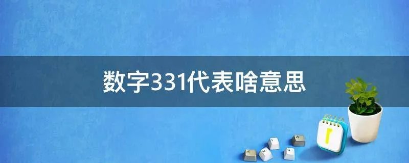 数字331代表啥意思