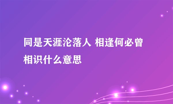 同是天涯沦落人 相逢何必曾相识什么意思