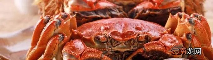 大闸蟹母蟹和公蟹哪个好？